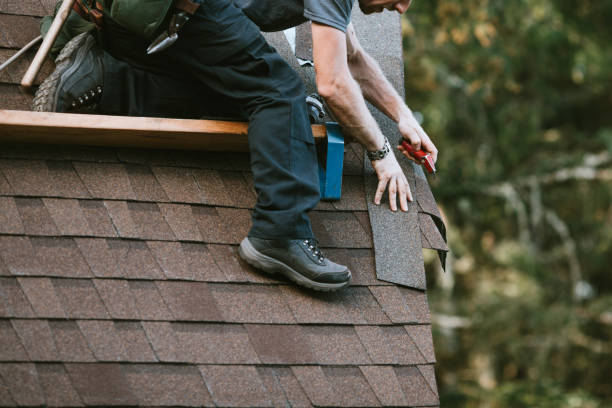 Best Roof Repair Services  in St Jaco, IL