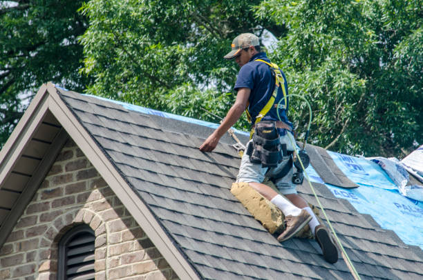 Best Local Roofing Companies  in St Jaco, IL